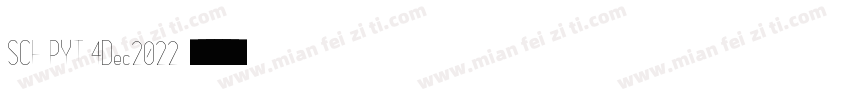SCF PYT 4Dec2022字体转换